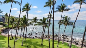 Vista costera con palmeras, una zona verde y una playa con rocas.