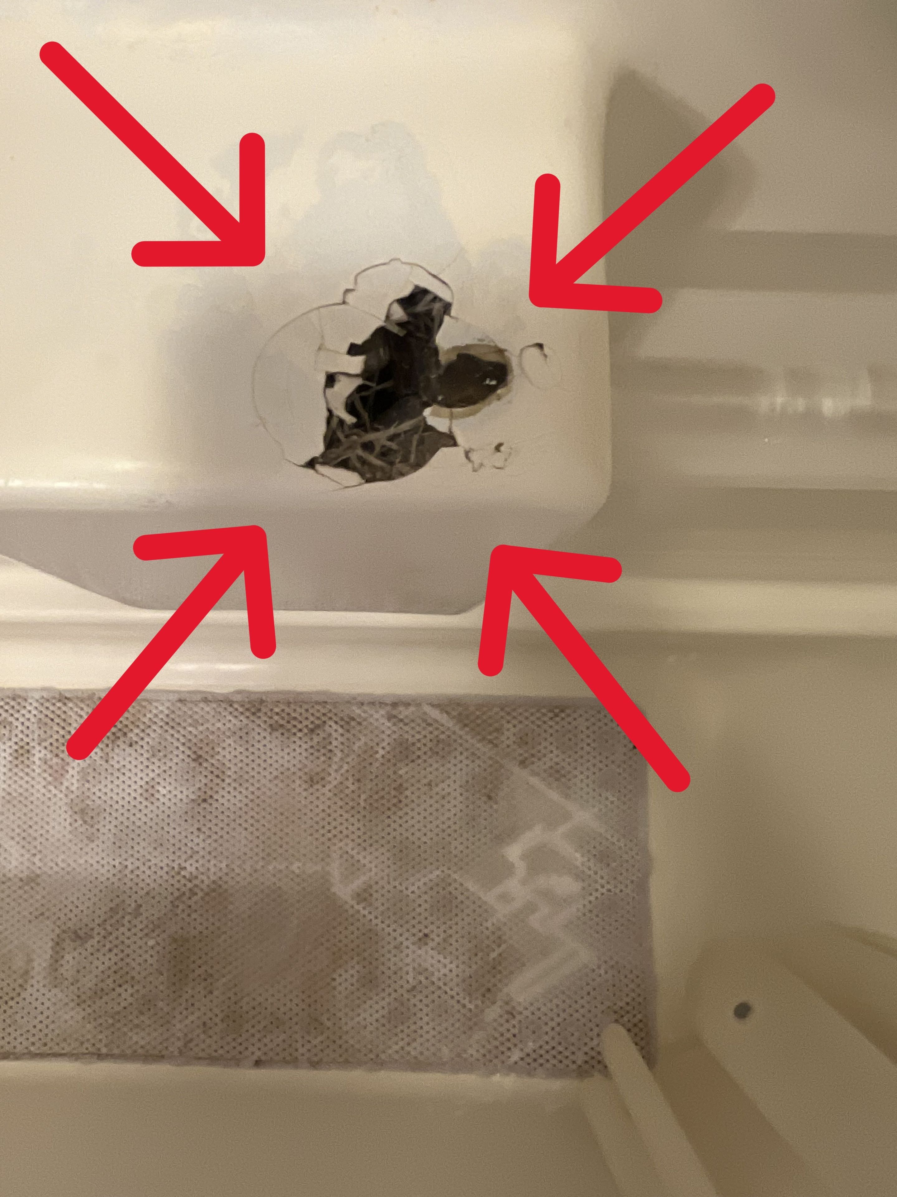 A white bathtub with a hole in the back wall and a mesh drain cover.
