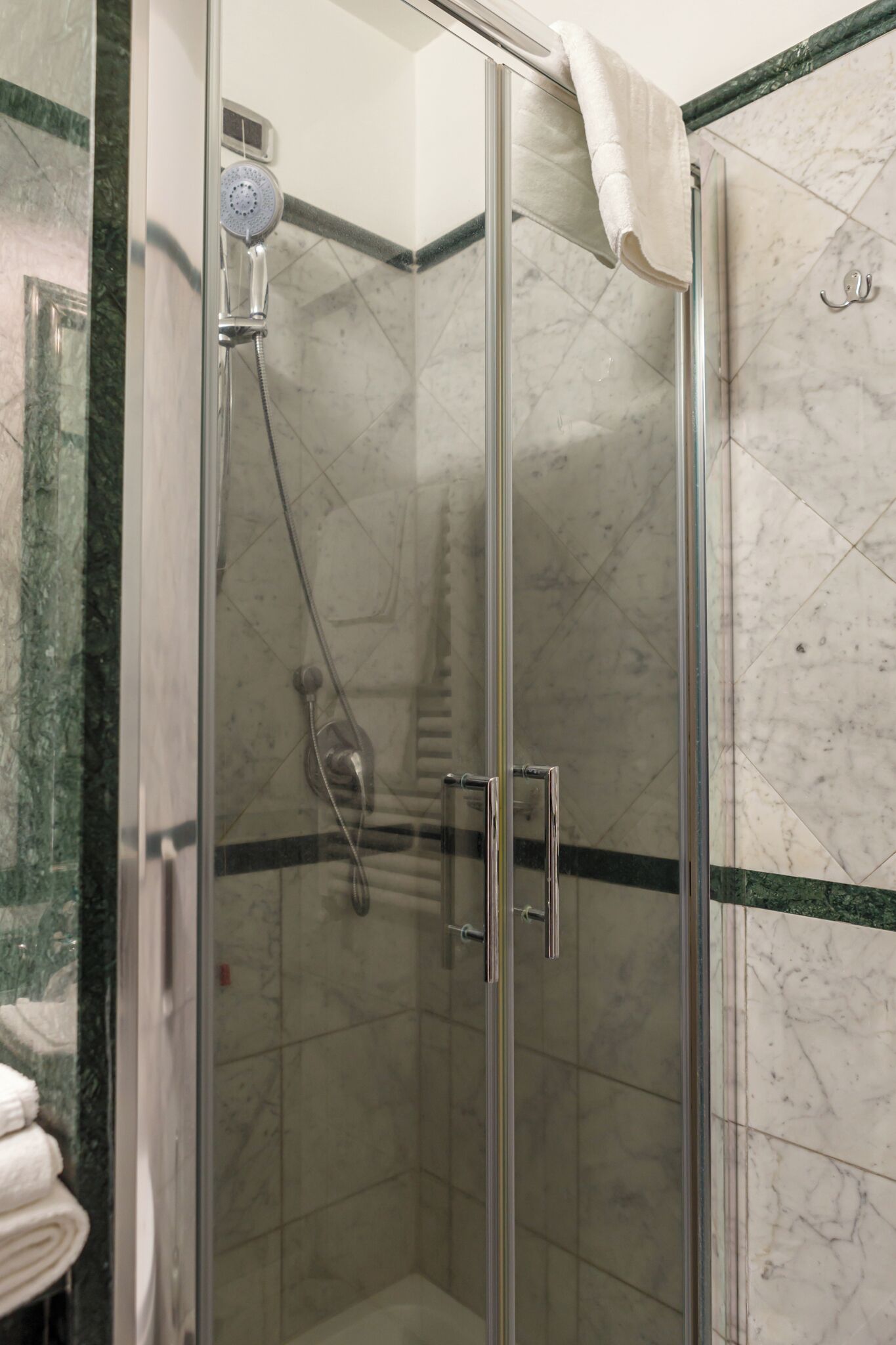 Een douche met glazen wand, een handdouche en een handdoekhouder.