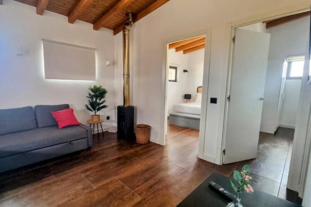 Un salon avec un canapé, une petite table, une plante en pot et une cheminée.
