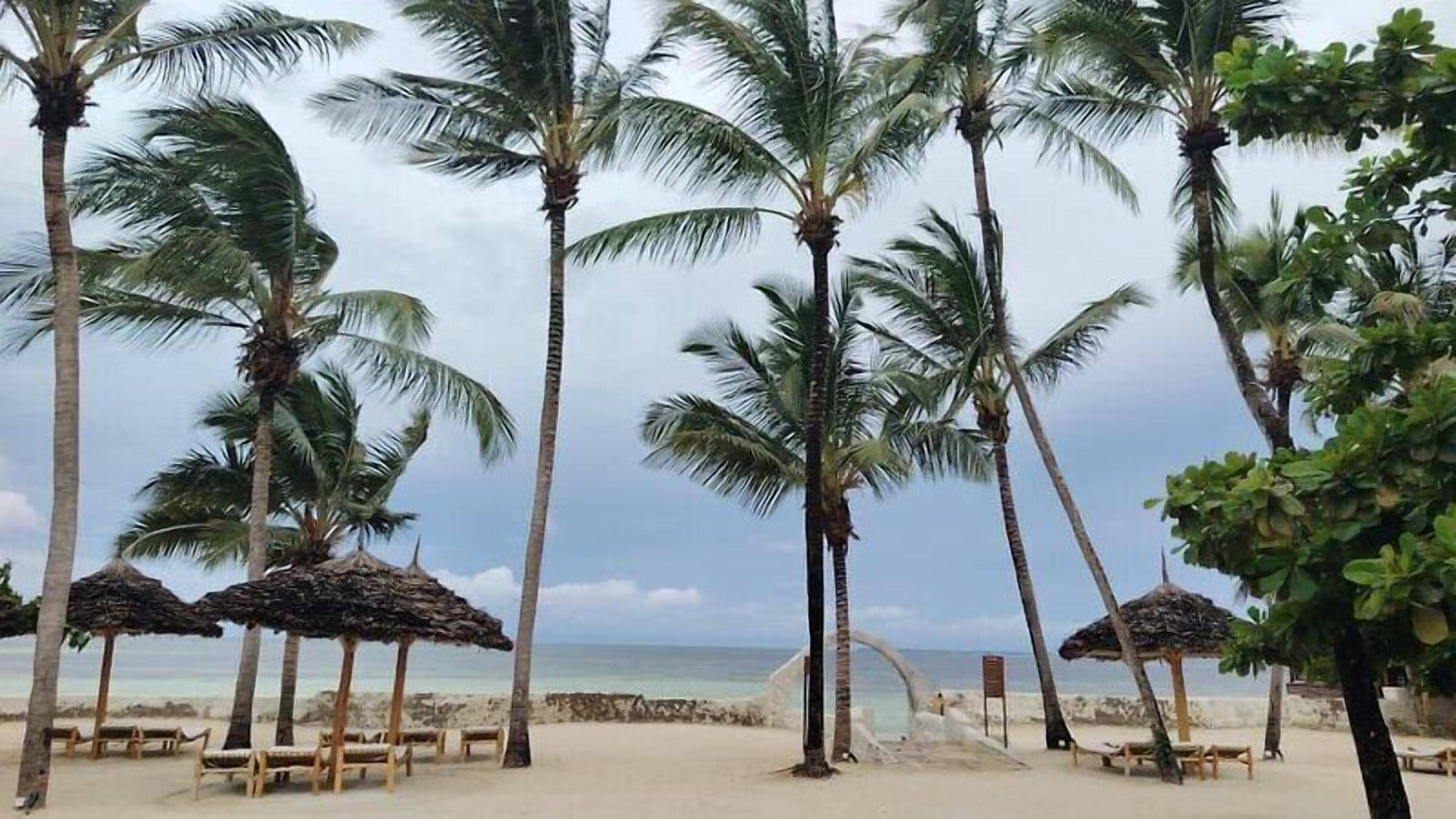 Playa