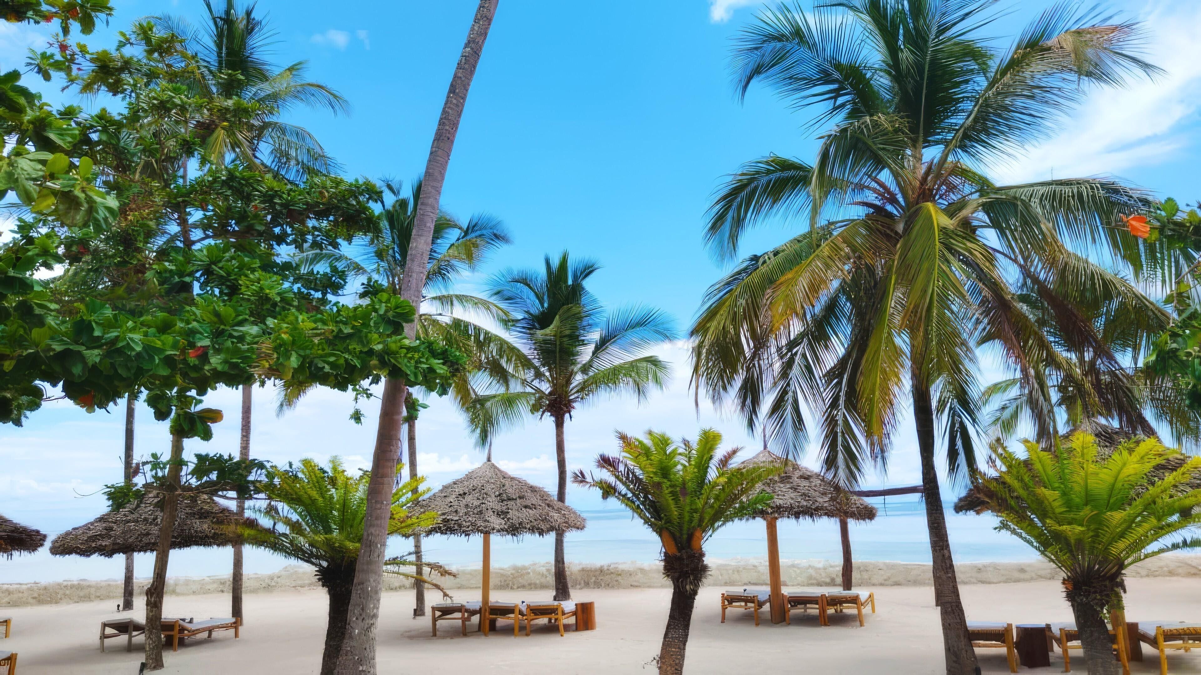 A beach with palm trees, thatched umbrellas, and wooden lounge chairs.