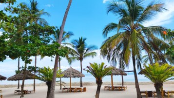Una playa con palmeras, sombrillas de paja y sillas reclinables de madera.