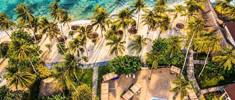 Vista aérea de un resort con piscina, palmeras y una playa.