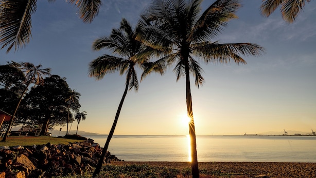 A beach with palm trees and a sunset over the water.