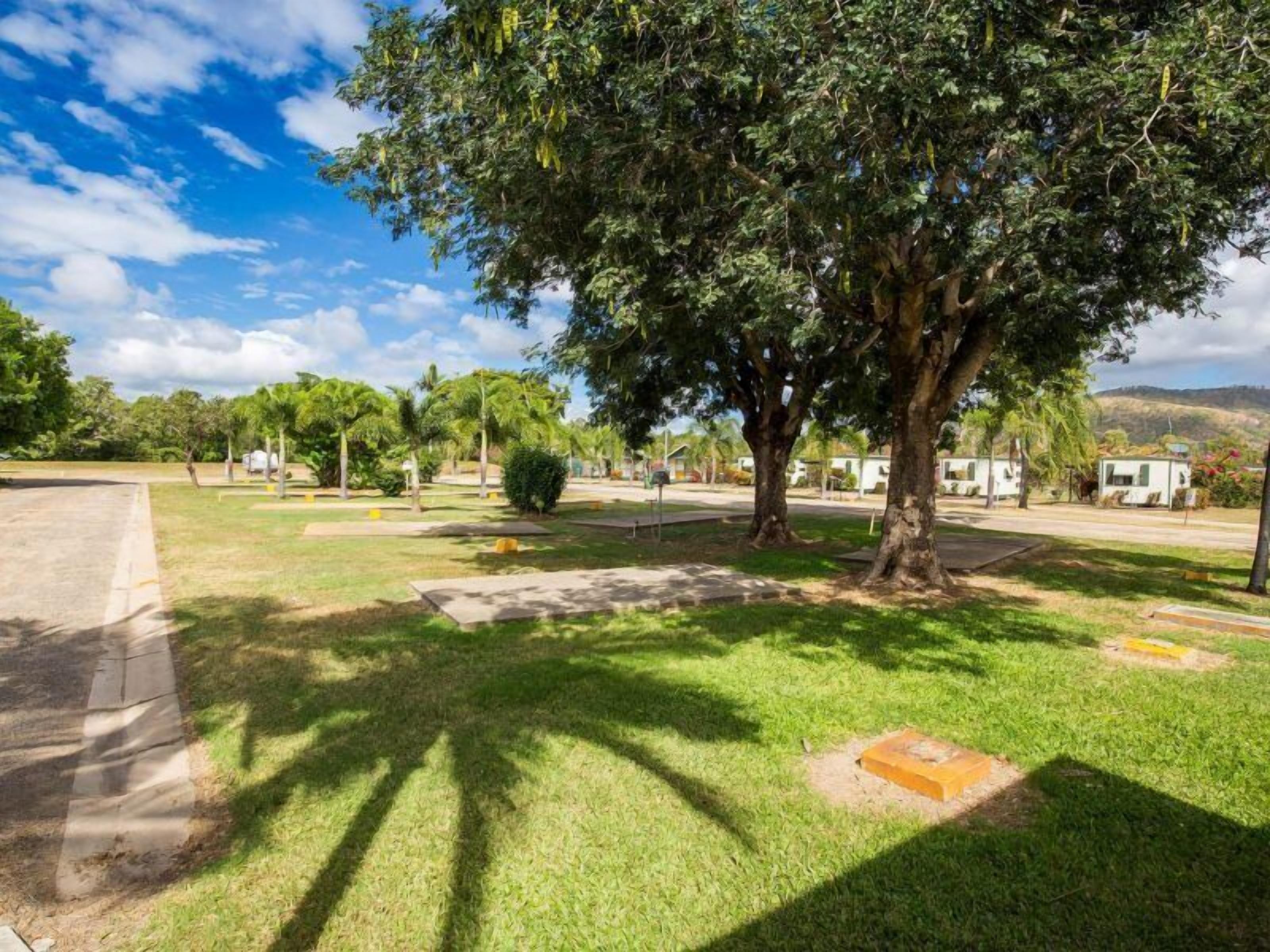 Um camping com tendas, árvores e áreas gramadas.