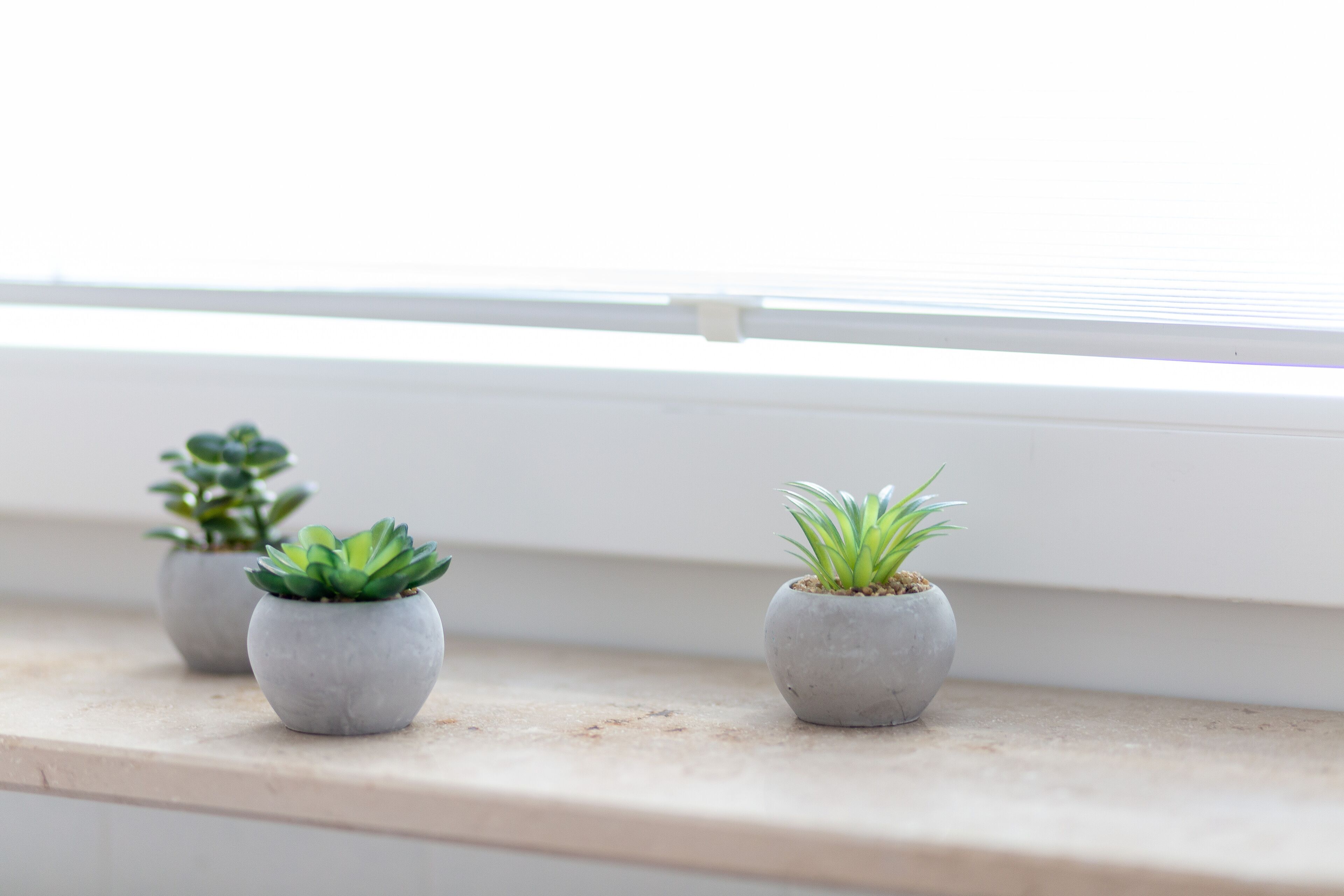 Trois petites plantes en pot, posées sur un rebord de fenêtre.