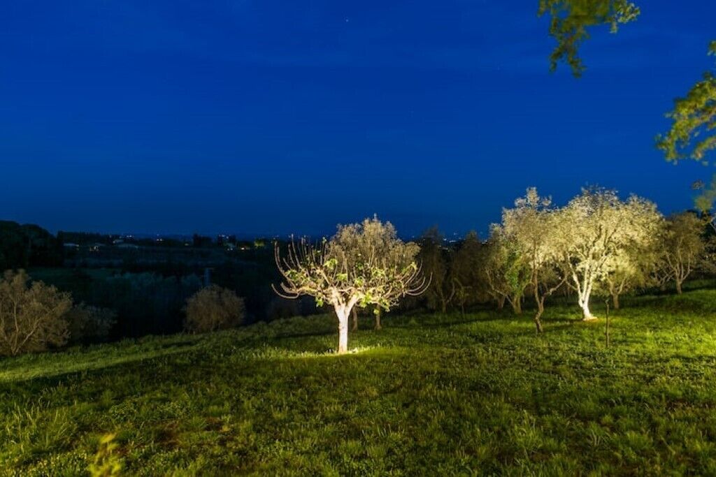 Un paysage nocturne avec des arbres illuminés sur une colline herbeuse, un ciel dégagé et des bâtiments situés au loin.