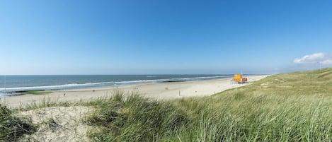 On the beach