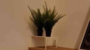 Een compacte keuken met een inbouwkoelkast, houten vloeren en een klein plankje met een plantje.