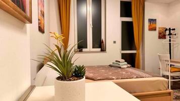 1 slaapkamer, geluiddichte muren, een strijkplank/strijkijzer