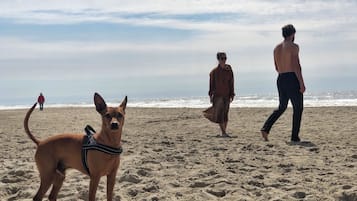 Am Strand