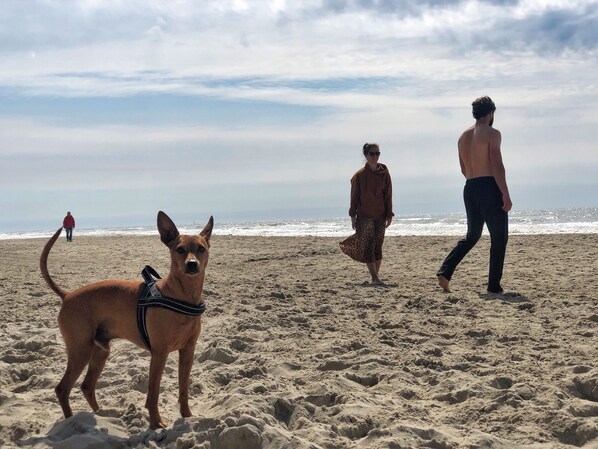Na praia