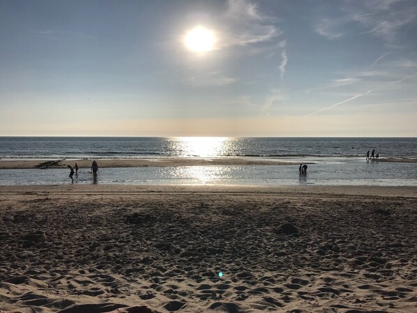 On the beach - Duinland 190, een Vakantiebungalow met een Heerlijke Tuin en Beschut Terras in Sint Maartenszee (Sint Maartenszee)