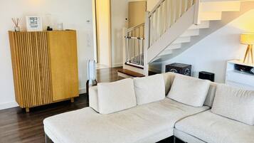 TV connectée, cheminée, jeux vidéo, livres