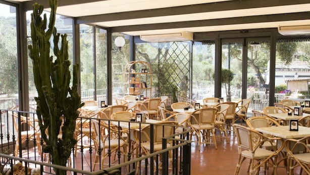 Un restaurante con sillas y mesas de mimbre, una planta de cactus y vistas a árboles a través de amplios ventanales.