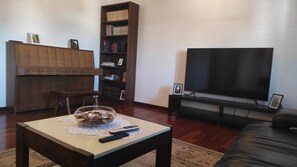 Televisor