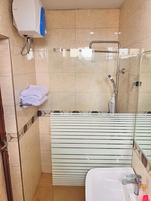 Regadera, secadora de cabello, toallas, jabón 