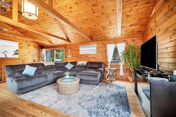 Smart TV, fireplace, books