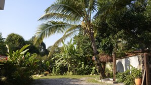 Un jardin tropical avec un palmier, une construction à toit de chaume et un chemin de gravier.