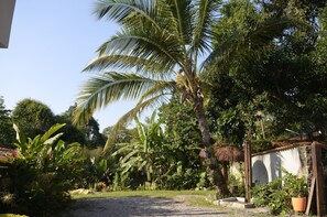 Property grounds - Ground floor suite for up to 6 people, two rooms. (Ilhabela)