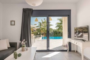 智能电视、DVD 播放器