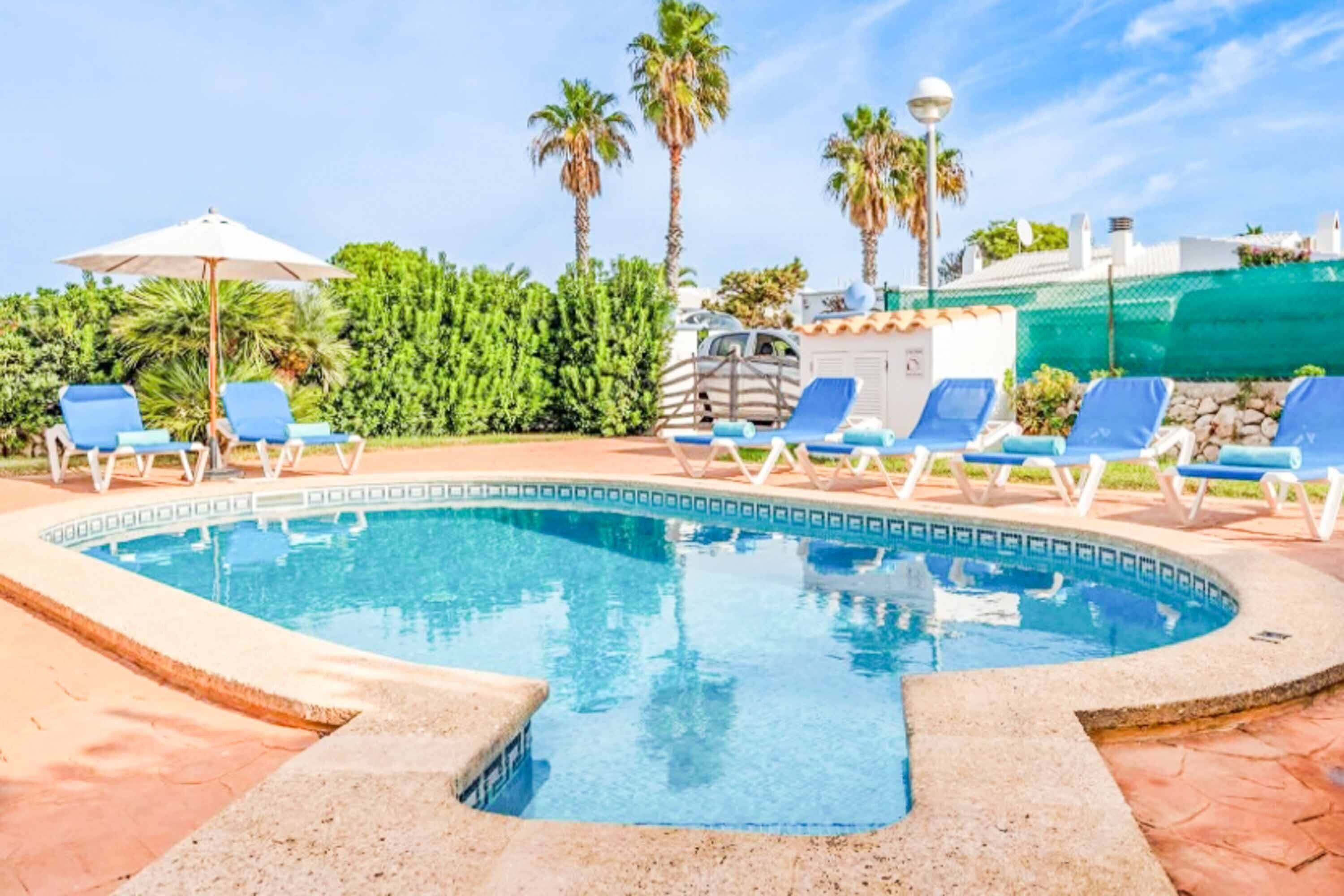 Une piscine avec des chaises longues bleues et un palmier en arrière-plan.