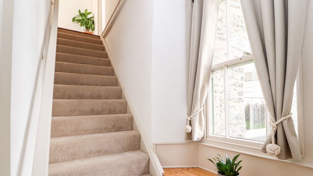 A staircase with beige carpeted steps leading to a landing. There is a wooden shelf with a potted plant on it. - Natland Hall Cottage (Kendal)