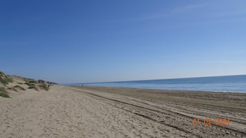 Tumbonas y toallas de playa