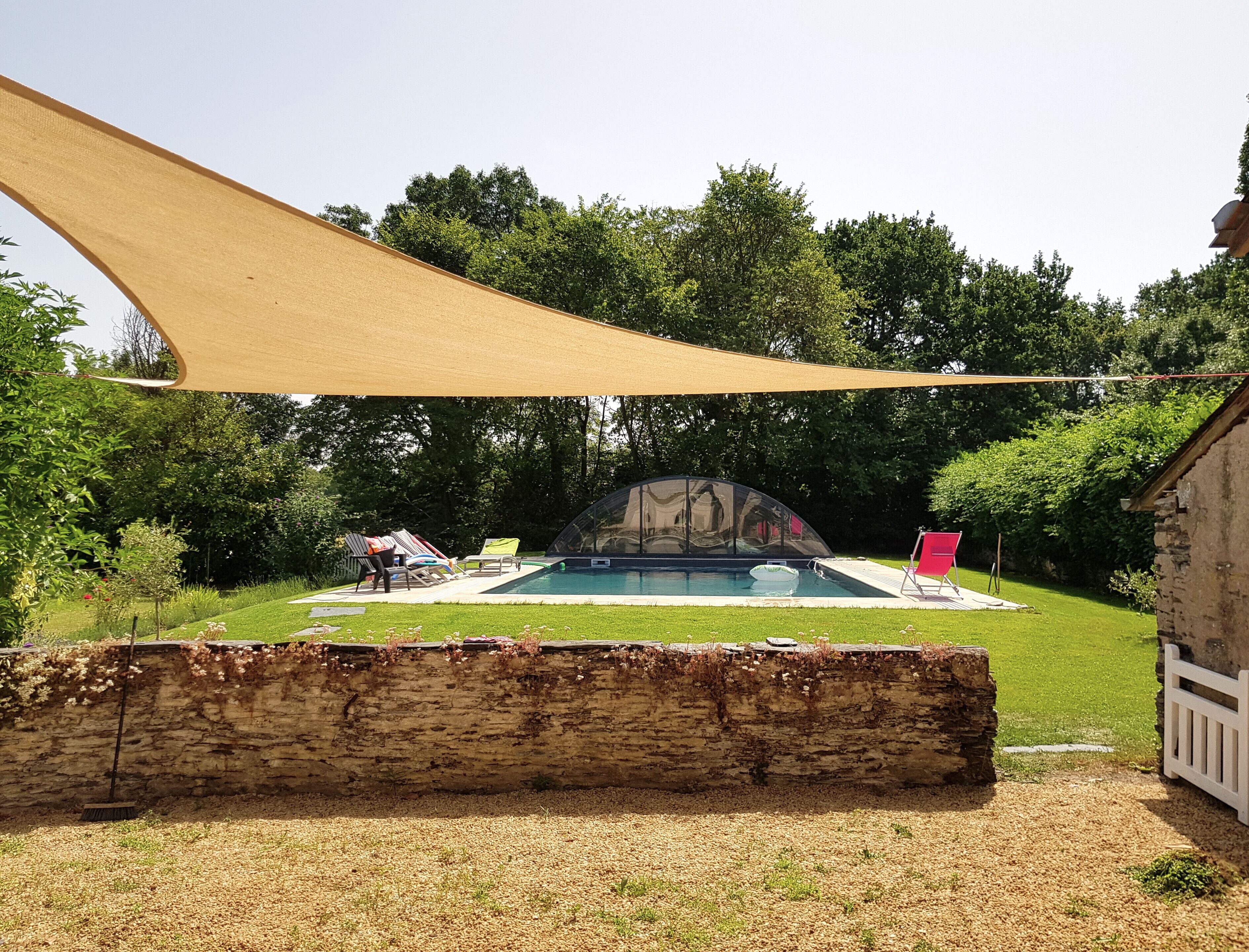 Un jardin avec une piscine, une terrasse en bois et un grand arbre.
