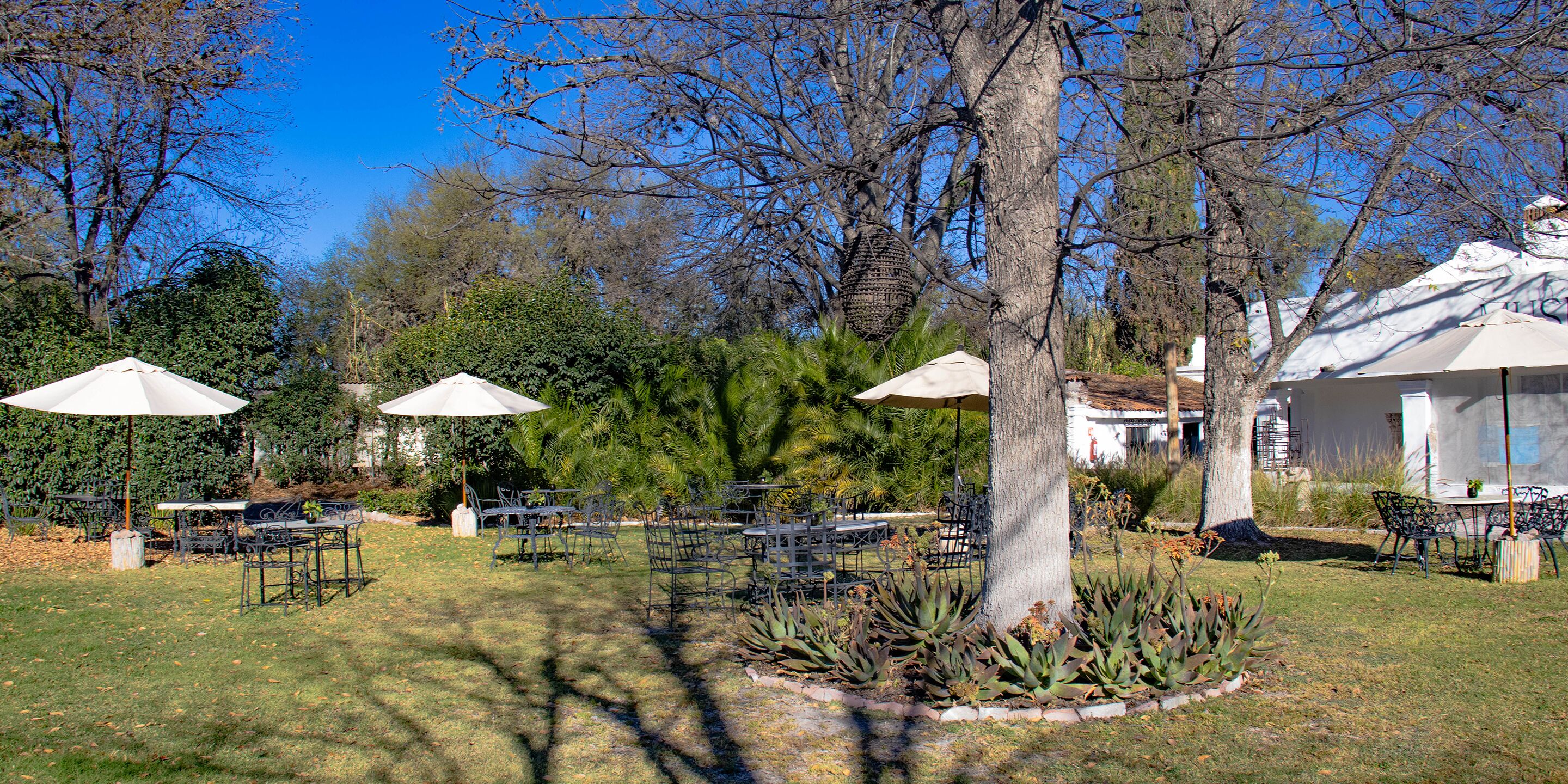 Un patio al aire libre con mesas y sillas, rodeado de árboles y vegetación.