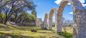 大地與愛 聖米格爾-德阿連德