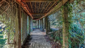 A covered pathway with wooden beams and string lights, surrounded by greenery and vines. - Water-view estate with on-site entertainment & 3 kitchens - events welcome (Clinton)