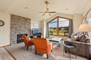Smart TV, chimenea, reproductor de DVD y libros 