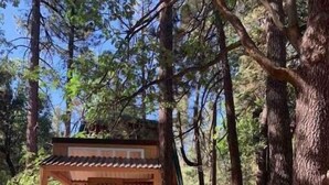 Una casetta in legno con tetto spiovente e diverse finestre, circondata da alberi e una recinzione di legno.