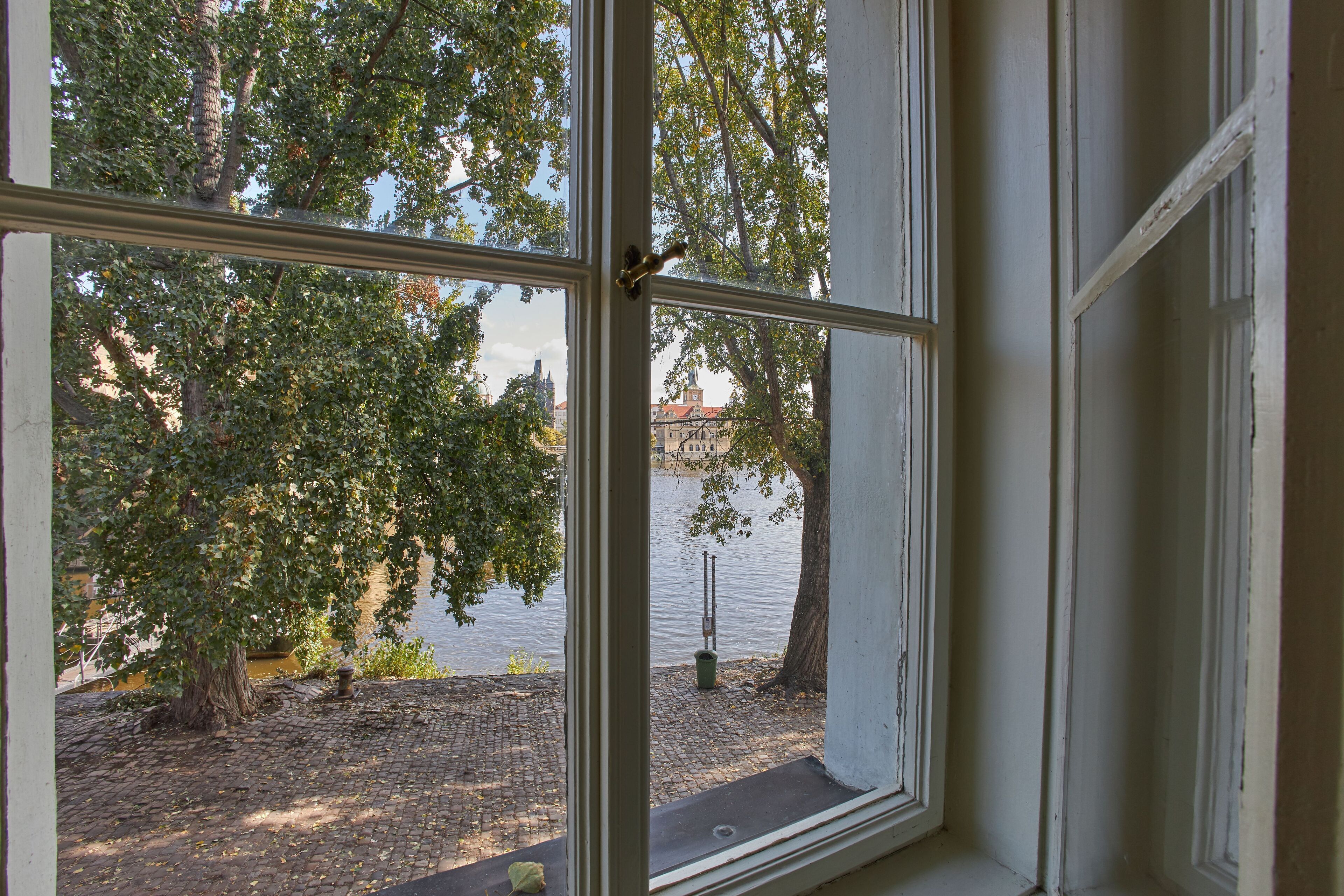 A window with a view of a tree-lined area and a body of water.
