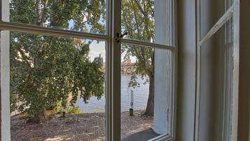 A window with a view of a tree-lined area and a body of water.