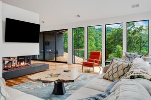 TV connectée, cheminée, jeux vidéo, lecteur de DVD