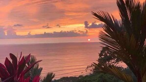 A sunset over a body of water with palm trees in the foreground.