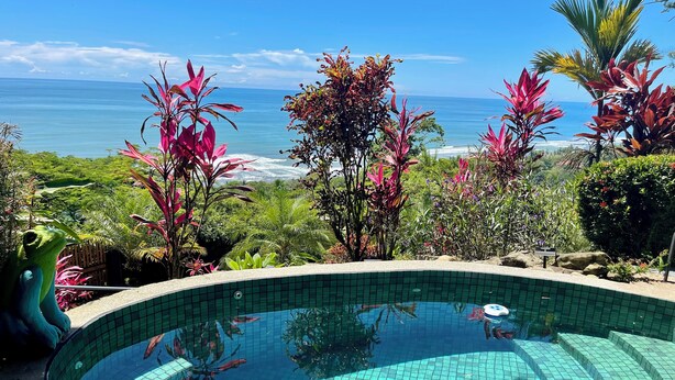 Ein gewundener Pool mit Blick auf den Ozean, umgeben von tropischen Pflanzen.