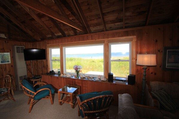 TV, fireplace, DVD player - 11 Freeman Ave - Waterfront Town Neck beach home, pet-friendly! (Sandwich)