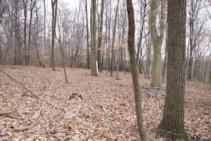 Terrain de l’hébergement 