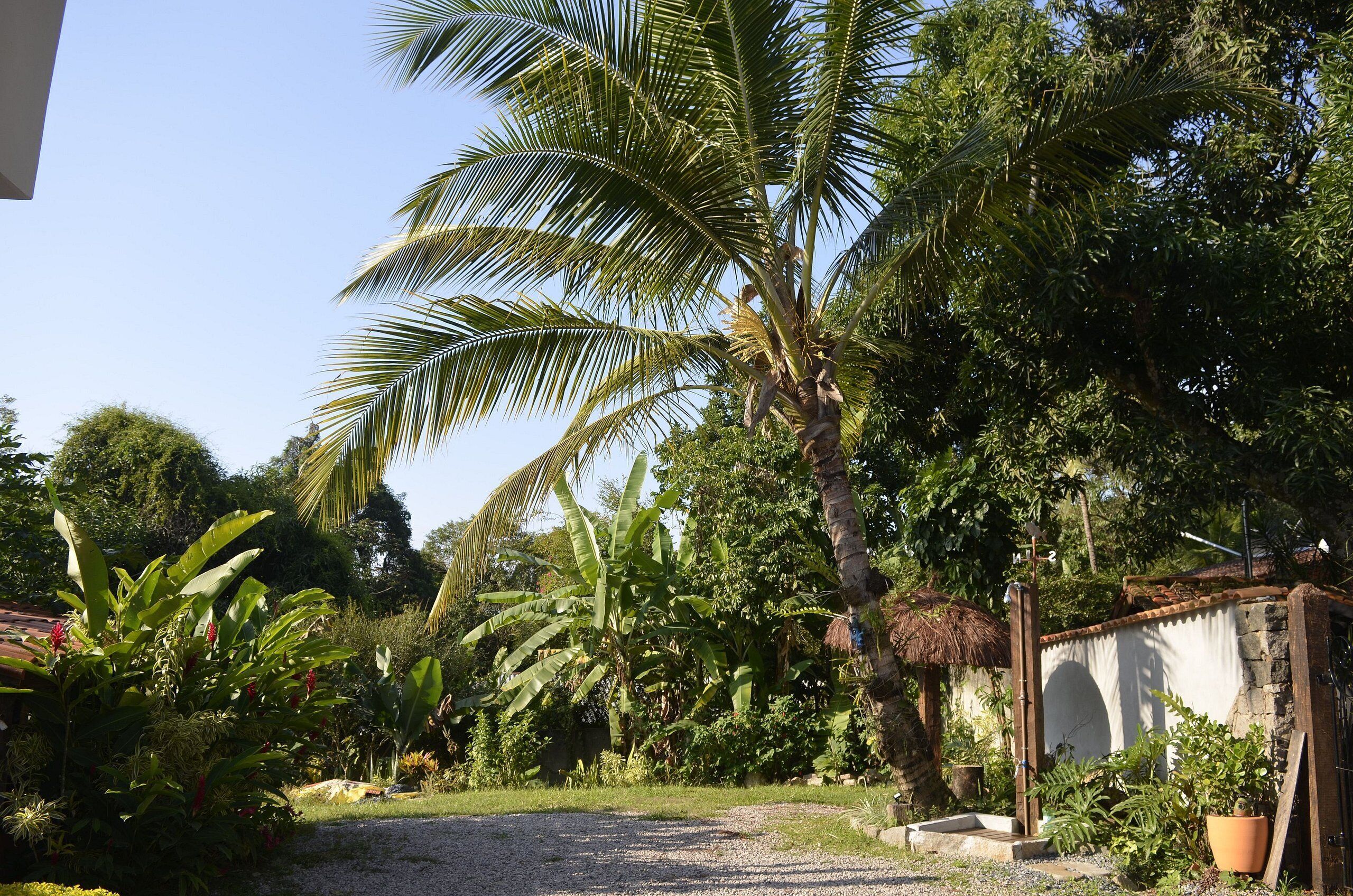 Grand Suite | Property grounds