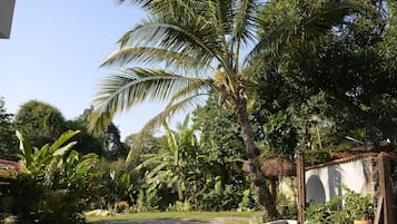 Grand Suite | Property grounds