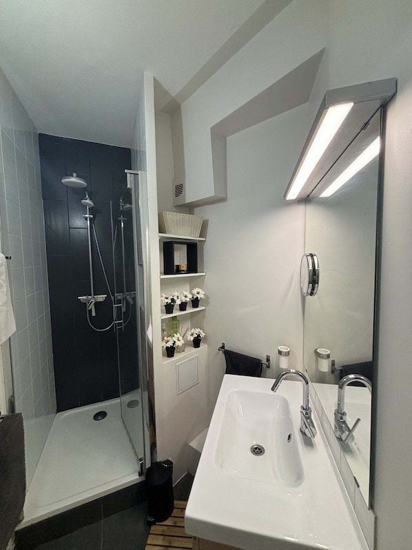 Shower, hair dryer, towels, soap
