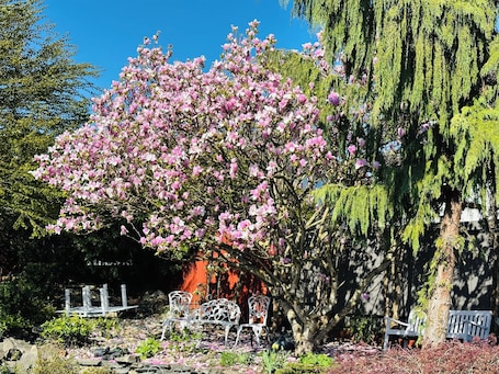 Terrace/patio. Newer Fifties theme large 2 bdrm, hot tub and golf green! Entire ground floor.