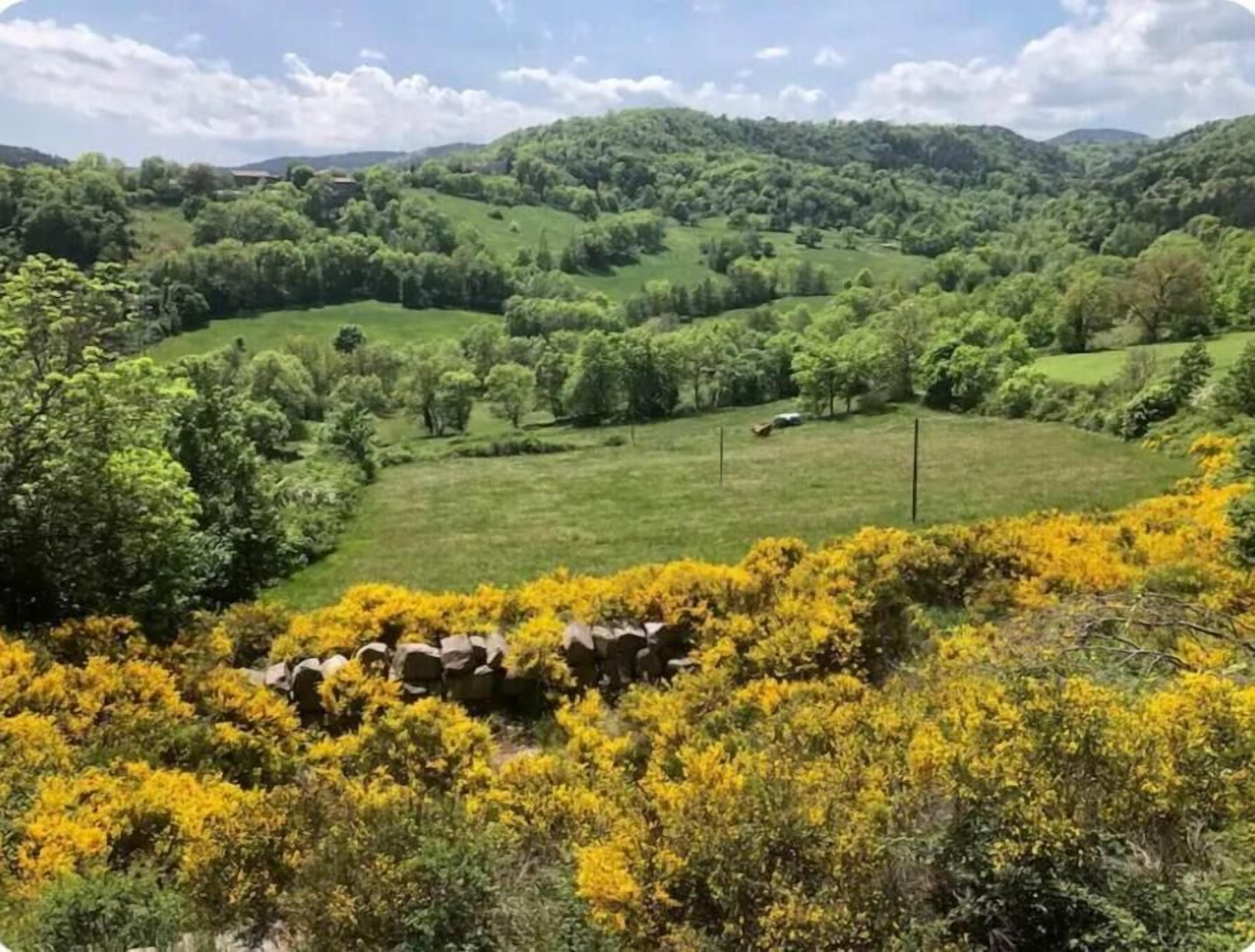 A panoramic view of a lush green valley with rolling hills and dense forests.
