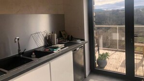 Une cuisine moderne avec un plan de travail noir, un évier en acier inoxydable et une vue sur un balcon doté d’une terrasse en bois et d’une plante en pot.