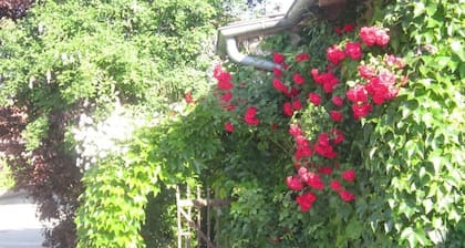 Soleil Levant - CHAZEY-SUR-AIN