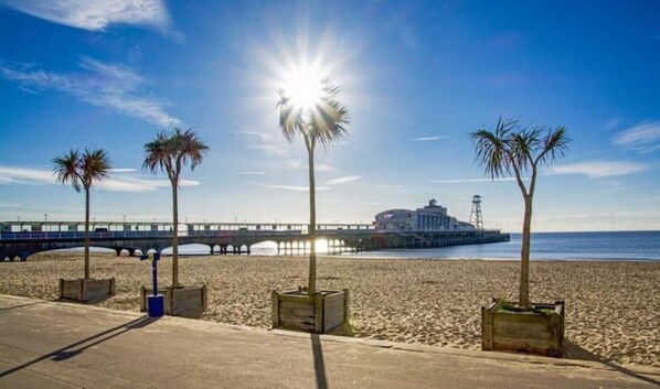 Playa en los alrededores 